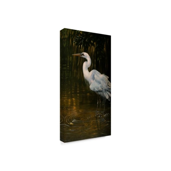 Michael Jackson 'Last Light Heron' Canvas Art,16x32